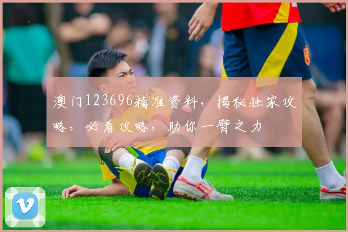 澳门123696精准资料，揭秘独家攻略，必看攻略，助你一臂之力