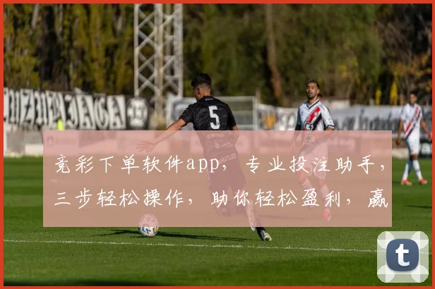 竞彩下单软件app，专业投注助手，三步轻松操作，助你轻松盈利，赢取大奖，必看攻略