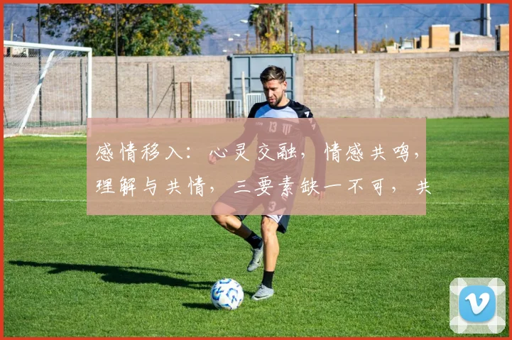 感情移入：心灵交融，情感共鸣，理解与共情，三要素缺一不可，共筑和谐人际。