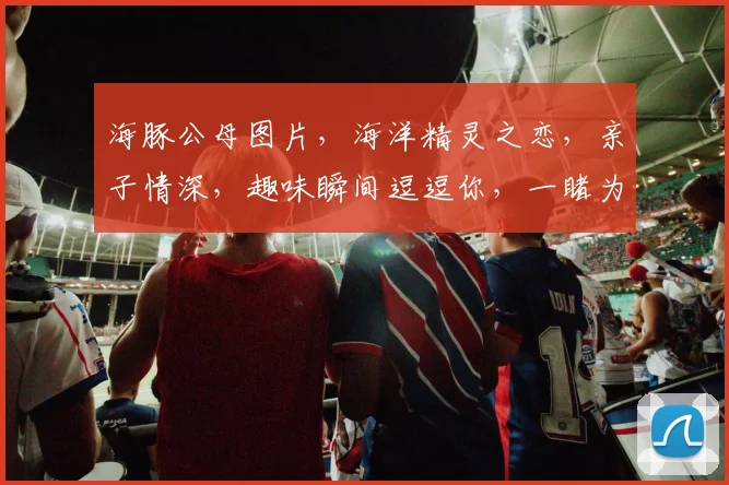 海豚公母图片，海洋精灵之恋，亲子情深，趣味瞬间逗逗你，一睹为快