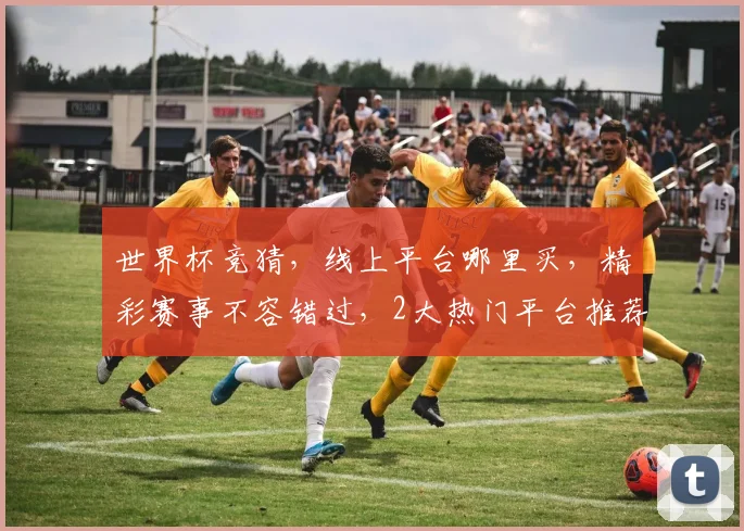 世界杯竞猜，线上平台哪里买，精彩赛事不容错过，2大热门平台推荐，速来参与